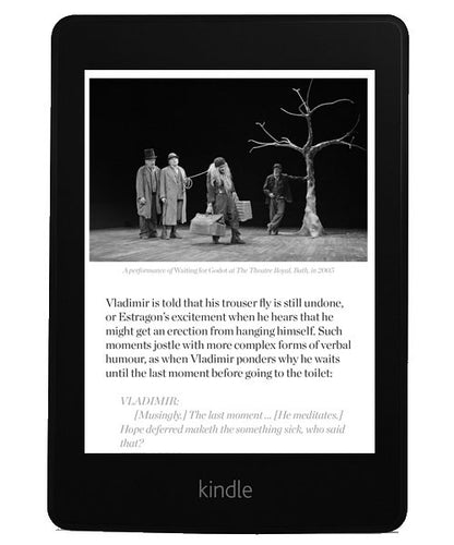 Samuel Beckett's Waiting for Godot Short Study Guide